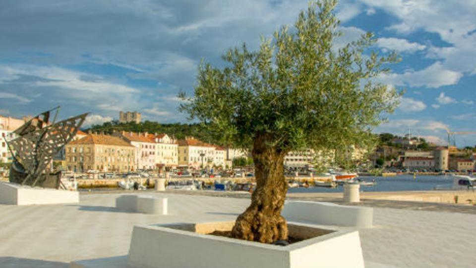 Apartman Marina Senj  Exteriör bild